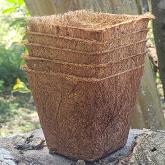 Square Coconut Husk Pots 5 Pack
