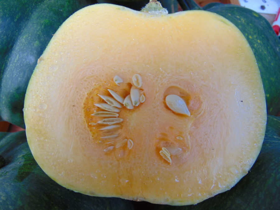 Seminole Pumpkin cut in half revealing orange flesh