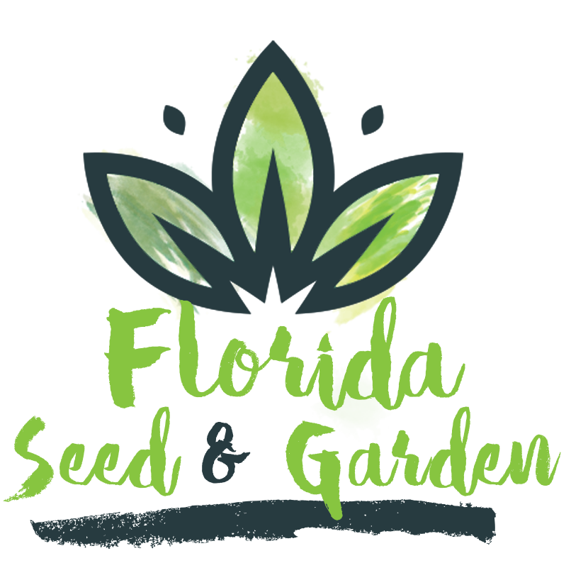 forget me not planting from seeds Blue Forget-Me-Not Seeds For Planting (Myosotis sylvatica) Seed Needs  Seed  Needs LLC