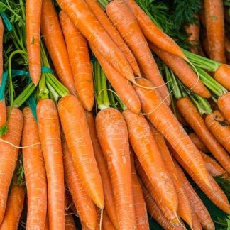 Bunch of Carrots