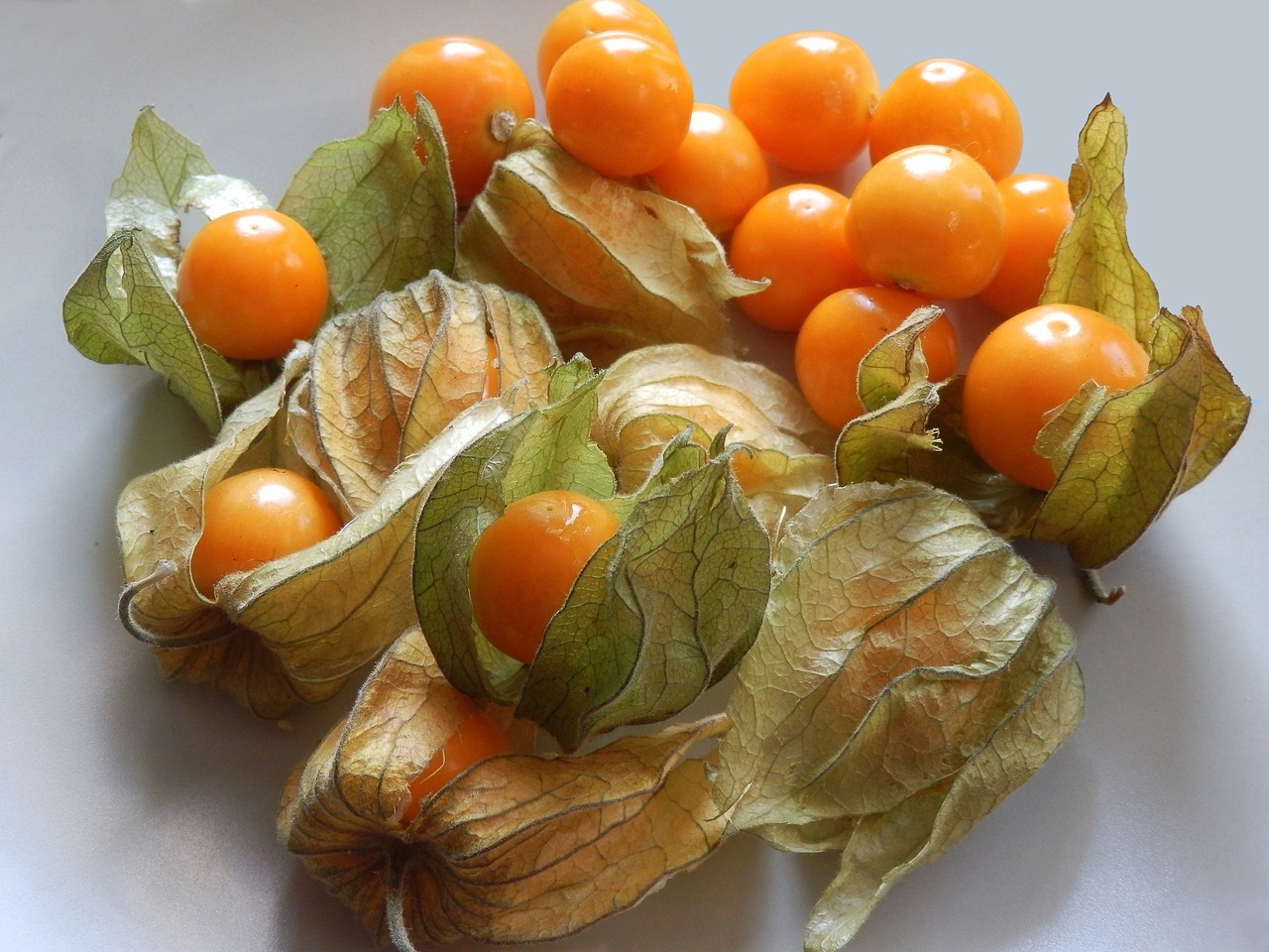 Ground Cherry [yellow] (30+ Seeds) - Florida Seed & Garden