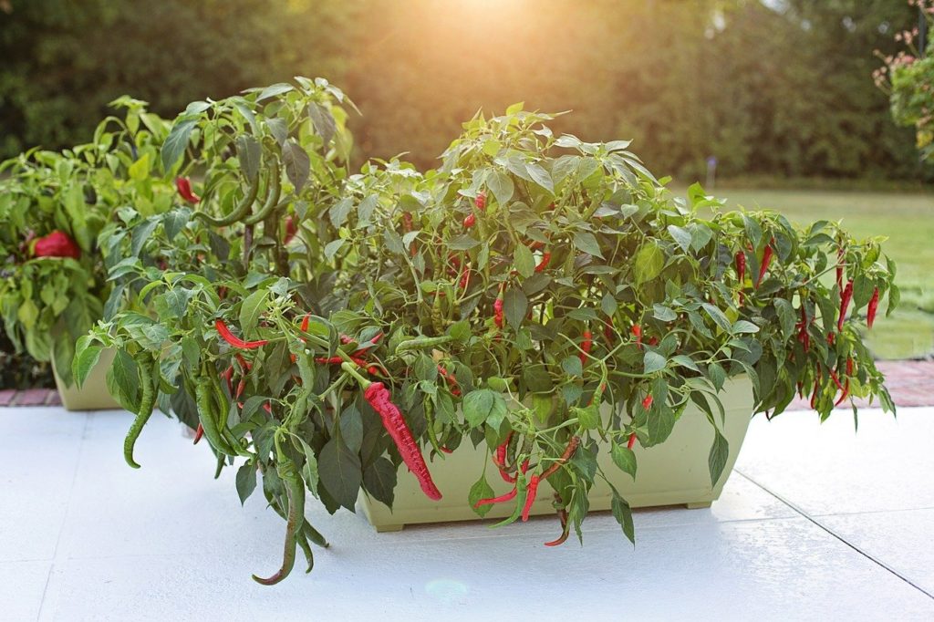fake plant wall Valar Foliage Roll Up Artificial Plant Wall Backdrop: Verdant Rainfore   ValarFlowers