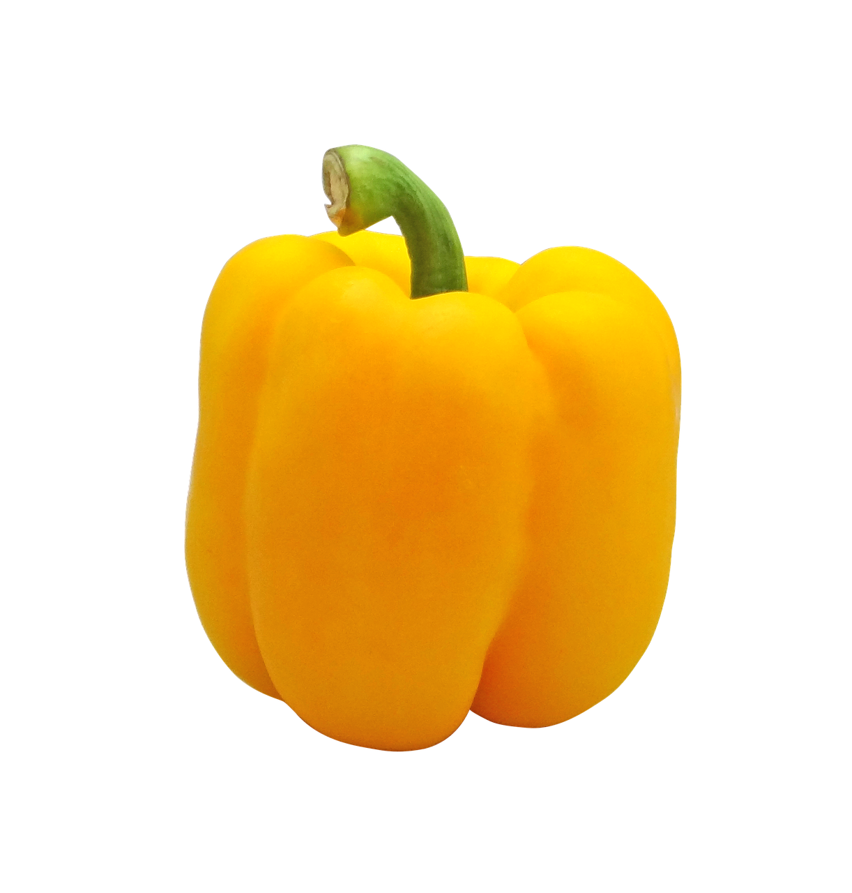 Yellow Bell Pepper Chopper