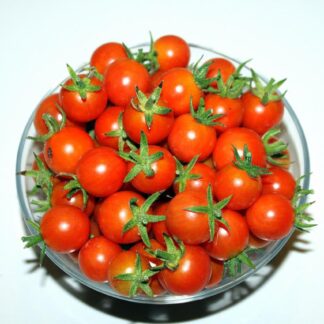 Sweetie Cherry Tomato (30+ Seeds)