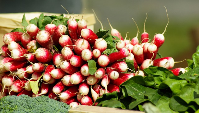 French Breakfast Radish (250+ Seeds)